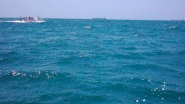 البحر المتوسط