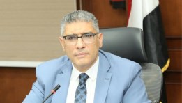 المهندس عادل النجار، محافظ الجيزة