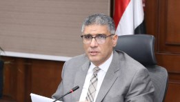 المهندس عادل النجار، محافظ الجيزة