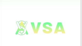منصة VSA