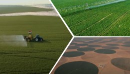 مشروع الدلتا الجديدة