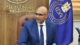 الدكتور تامر الحسيني نائب رئيس هيئة الدواء