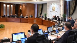 الاجتماع التاسع والأربعون لمجلس الوزراء