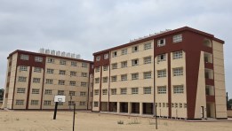 تنفيذ مدرسة جديدة النوبارية الجديدة