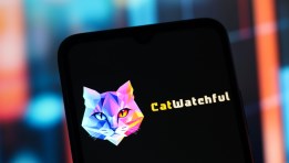 Catwatchful تطبيق تجسس