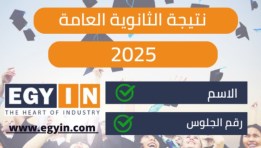نتيجة الدبلومات الفنية 2025