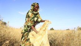 «أزمة السودان» تتصاعد 