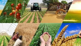  مشروعات إنتاجية