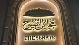 مجلس الشيوخ 2025 م