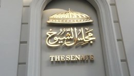 إنتخابات مجلس الشيوخ 2025 م
