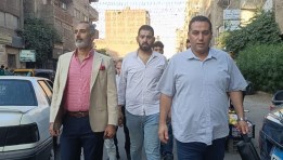 جولات انتخابات مجلس الشيوخ