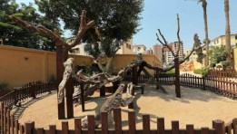 مسار العائلة المقدسة 