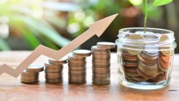 المشروع القومي للتنمية المجتمعية والبشرية والمحلية "مشروعك"