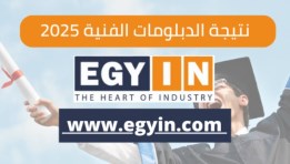نتيجة الدبلومات الفنية لعام 2025