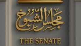 انتخابات مجلس الشيوخ