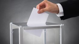  انتخابات مجلس الشيوخ 2025