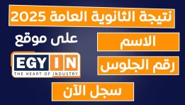 نتيجة الثانوية العامة 2025