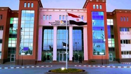 الجامعات التكنولوجية الخاصة