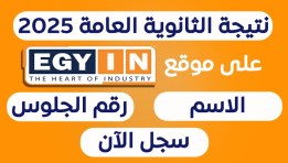 نتيجة الثانوية العامة