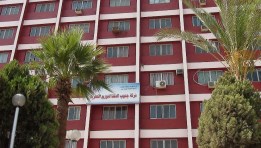شركة جنوب الدلتا لتوزيع الكهرباء 