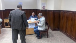  انتخابات مجلس الشيوخ