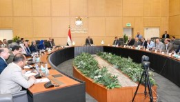 الإسكان 