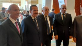  وزير البترول والثروة المعدنية