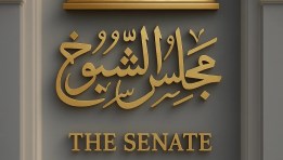 انتخابات