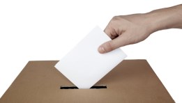 انتخابات مجلس الشيوخ 2025