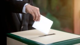 انتخابات مجلس الشيوخ 2025