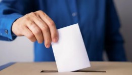 انتخابات مجلس الشيوخ 2025
