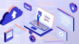 البرمجيات والخدمات التكنولوجية