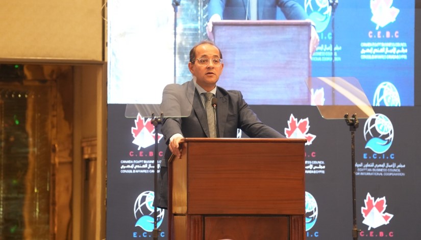 أحمد كجوك، وزير المالية 