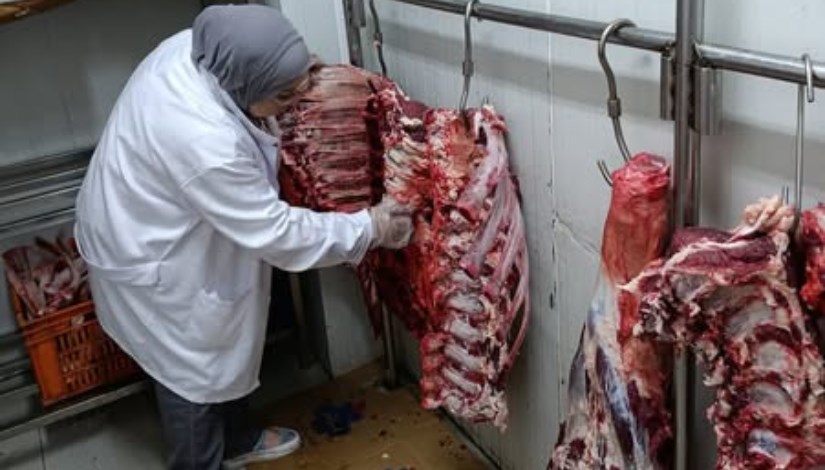 لحوم فاسدة لحوم فاسدة