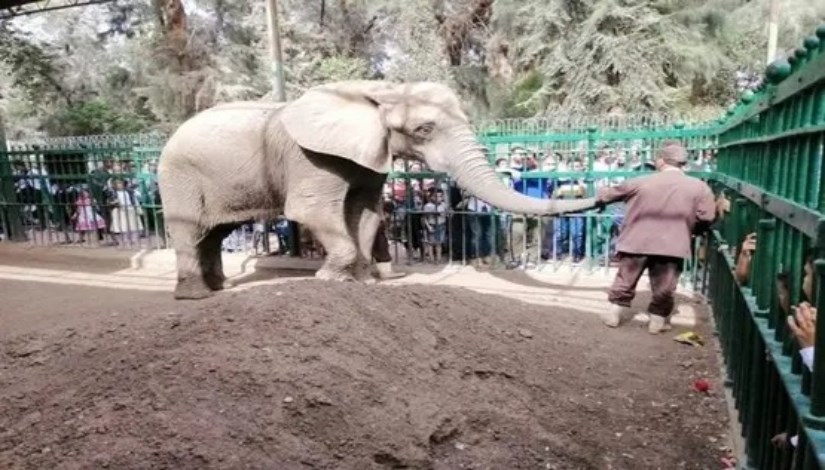 حديقة حيوان حديقة حيوان