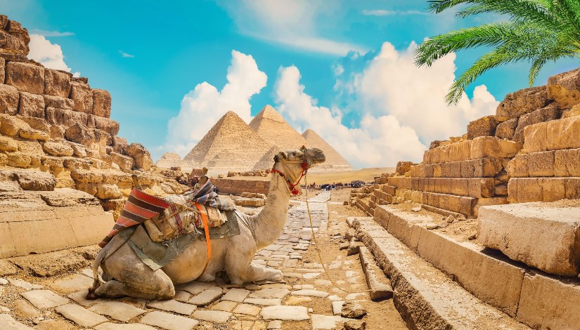 السياحة