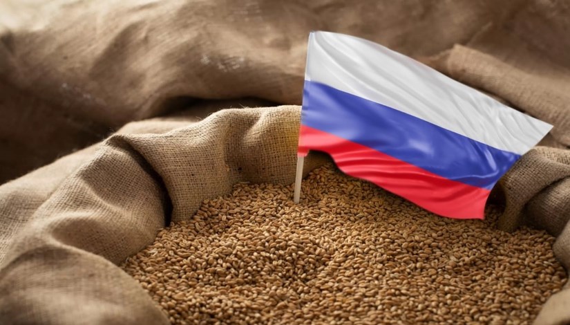 قررت روسيا إلغاء ضريبة تصدير القمح قررت روسيا إلغاء ضريبة تصدير القمح