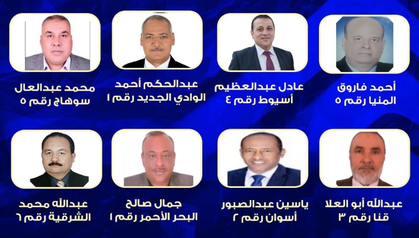 المقاعد الفردية بانتخابات الشيوخ 2025 المقاعد الفردية بانتخابات الشيوخ 2025