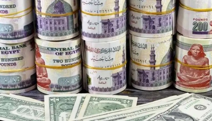 سعر الدولار مقابل الجنيه المصري سعر الدولار مقابل الجنيه المصري