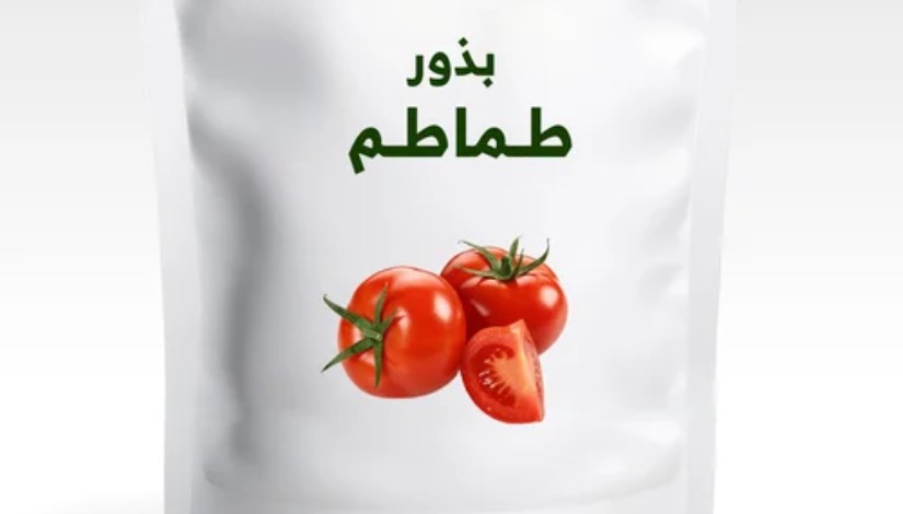 سوق بذور الطماطم