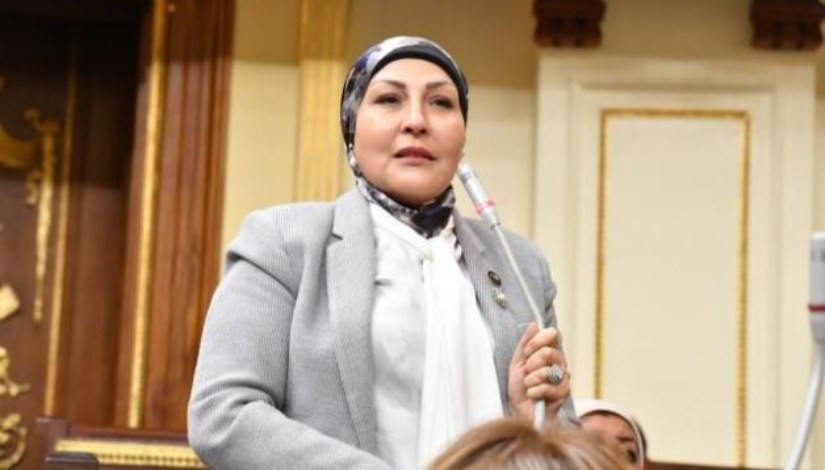 الدكتورة هالة أبو السعد الدكتورة هالة أبو السعد
