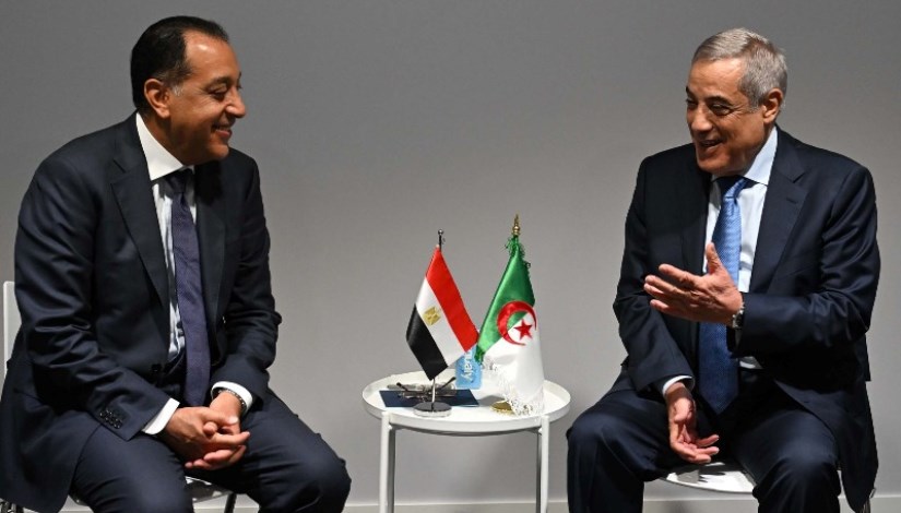 مدبولي ونظيره