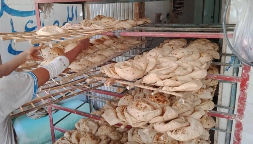 إنتاج الرغيف المٌدعم إنتاج الرغيف المٌدعم