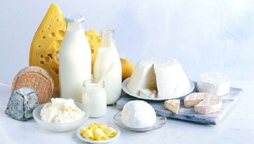 صناعة الألبان صناعة الألبان