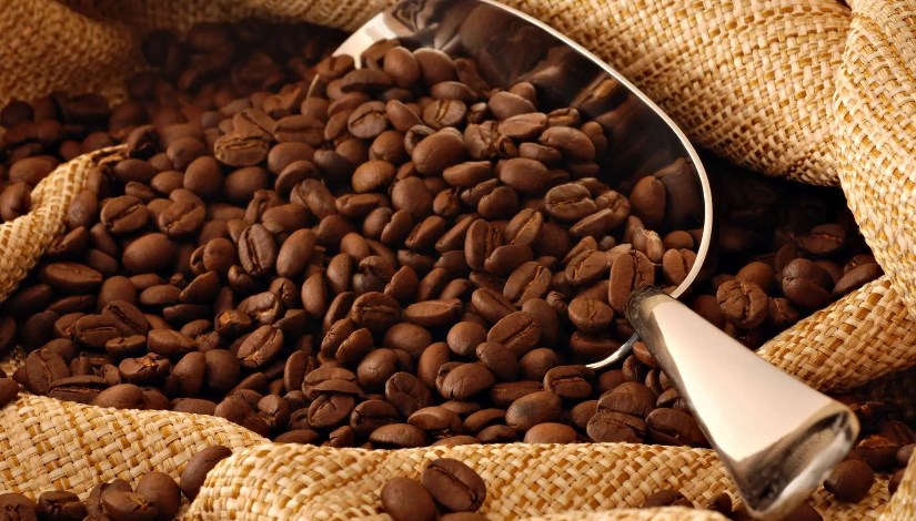 البن 