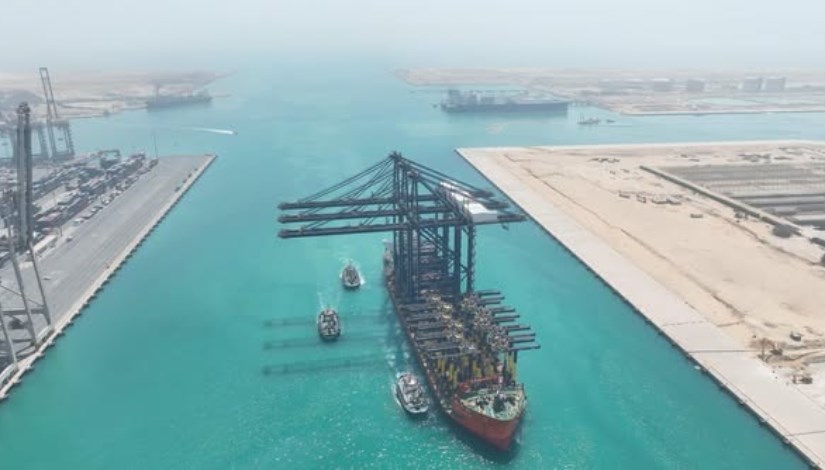 الفريق مهندس كامل الوزير نائب رئيس مجلس الوزراء للتنمية الصناعية وزير الصناعة والنقل صناعة الأدوية