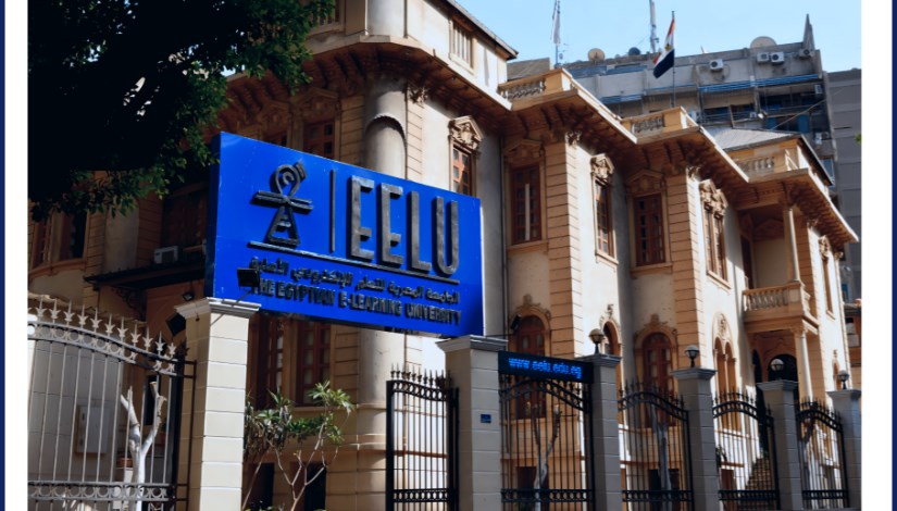 الجامعة المصرية للتعلم الإلكتروني الأهلية