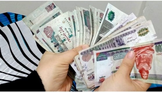 عوائد الاستثمار