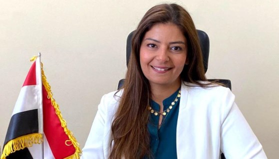 نيفين منصور، مستشار وزير المالية لعلاقات المؤسسات الاقتصادية