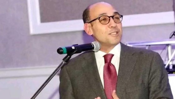 السفير أحمد حافظ